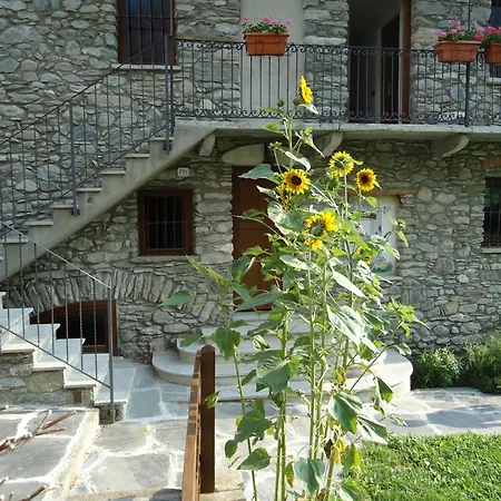 Country house Il Contadino
